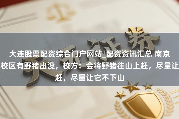 大连股票配资综合门户网站_配资资讯汇总 南京大学仙林校区有野猪出没，校方：会将野猪往山上赶，尽量让它不下山