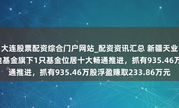 大连股票配资综合门户网站_配资资讯汇总 新疆天业股价涨5.03%，南边基金旗下1只基金位居十大畅通推进，抓有935.46万股浮盈赚取233.86万元