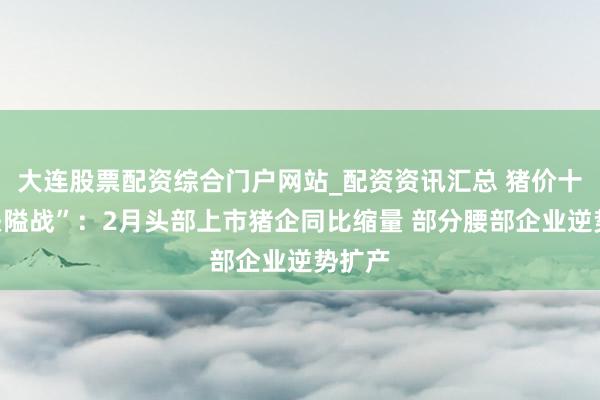 大连股票配资综合门户网站_配资资讯汇总 猪价十元“关隘战”：2月头部上市猪企同比缩量 部分腰部企业逆势扩产
